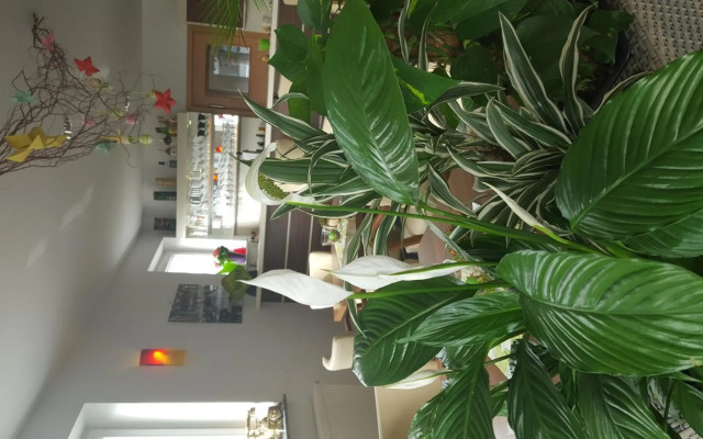 Hotel Beuss