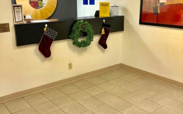 Siegel Select Memphis