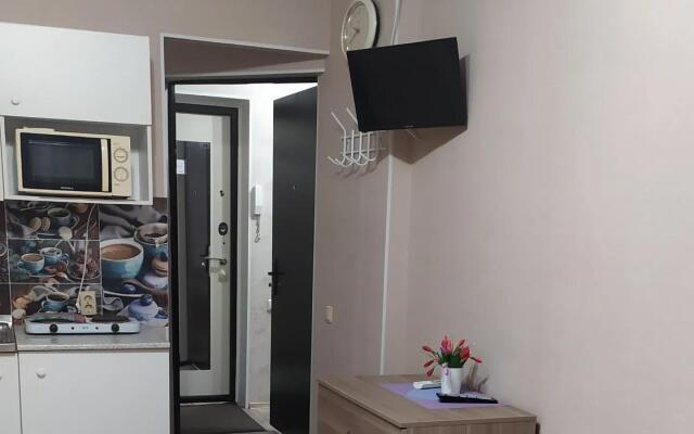 Апартаменты на улице Профессора Камая