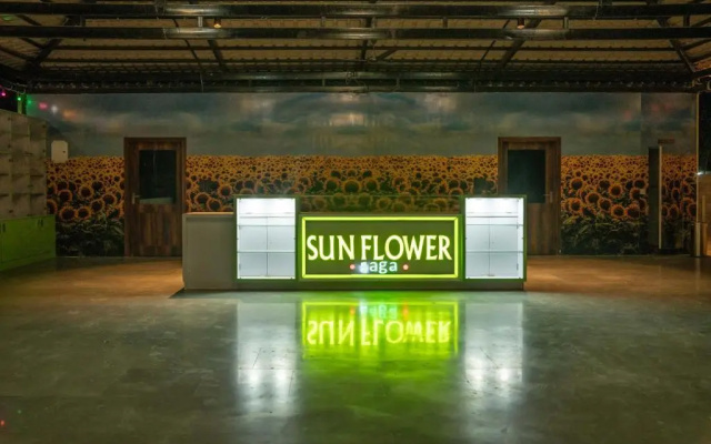 Sunflower Saga