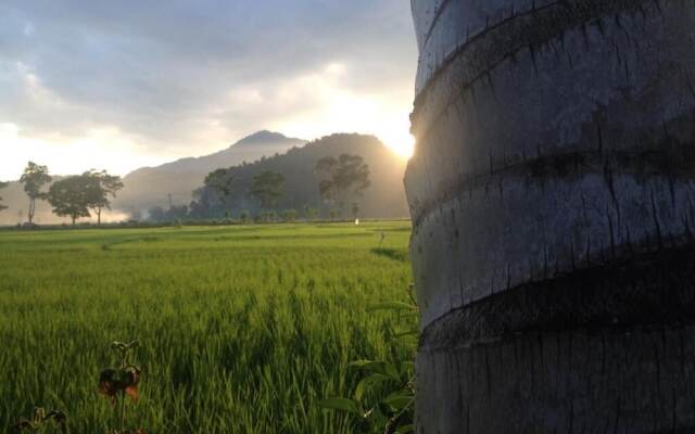 Sijo art and guesthouse