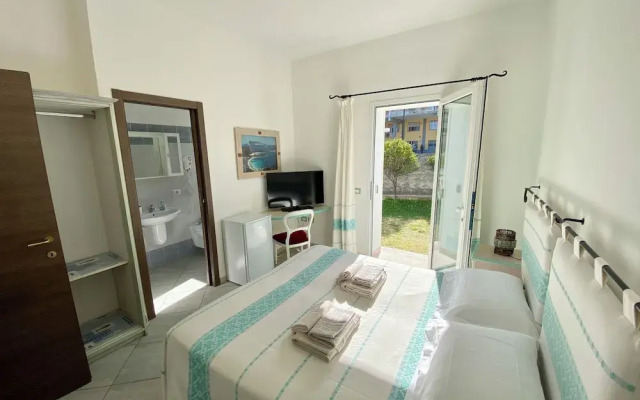 B&B Tigrillo