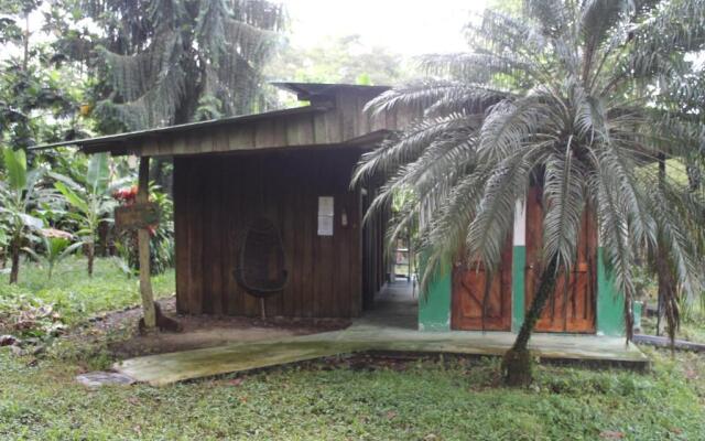 Finca Orgánica Guarumo