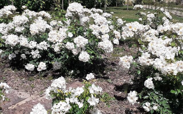 Palazzo Dè Rossi Hotel