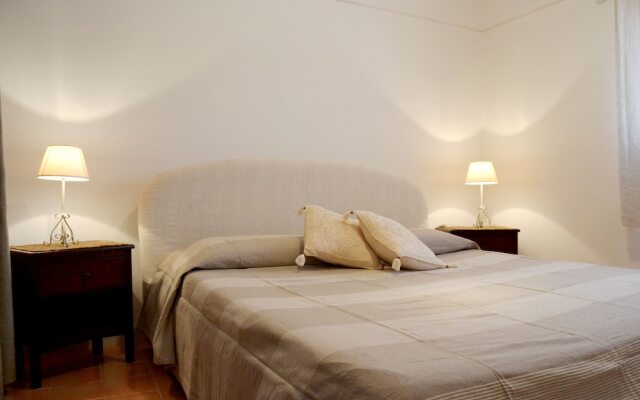 Dammusi Comfort Plus