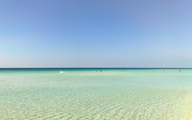 Punta Prosciutto Bed To Rent