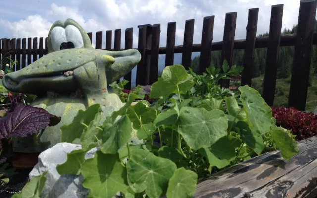 Berghotel Gerlosstein