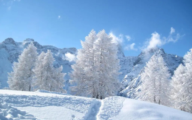 Apartment Ön Residence Bun Ste