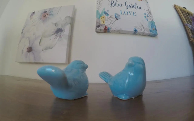 Residencial Flor De Ipê