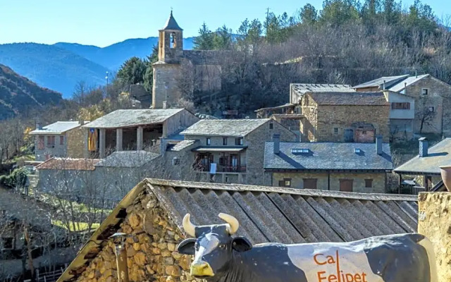 Cal Felipet