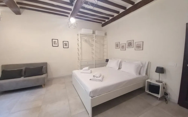 Pinzochere 16 N in Firenze