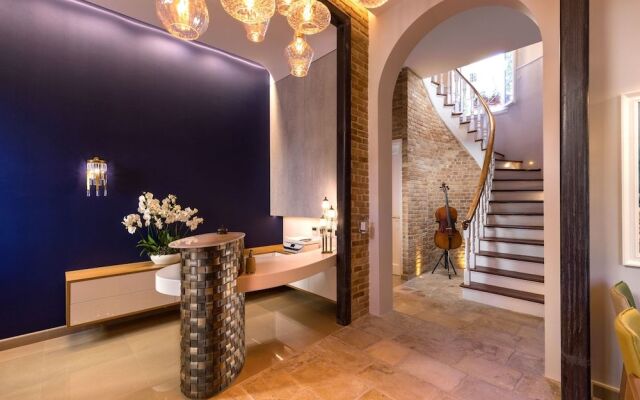 Acanthus blue