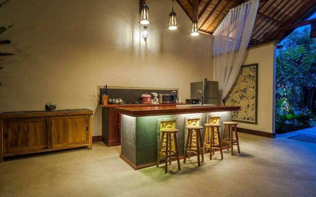 Infinity Jungle View Aashaya Villa Ubud