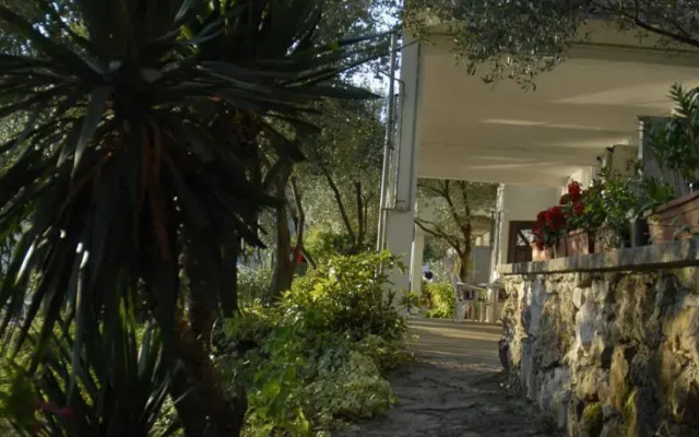 Apartments Adrialuka