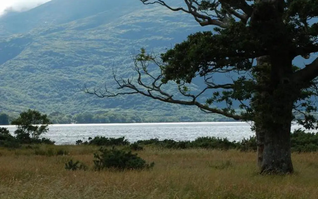 Innisfallen Holiday Village