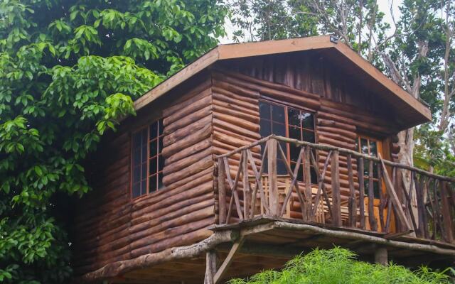 The Blue Mahoe Treehouse