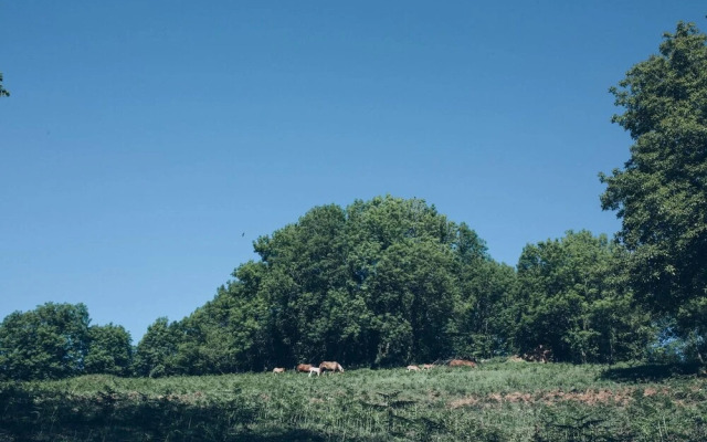 House With 6 Bedrooms in Valcarlos, With Wonderful Mountain View