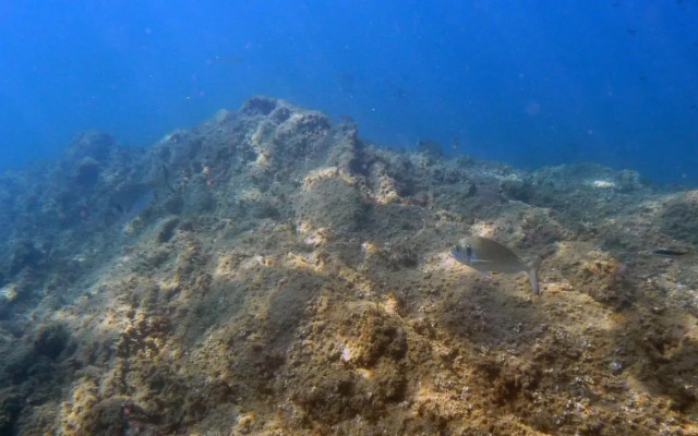 Appartamenti La Quiete