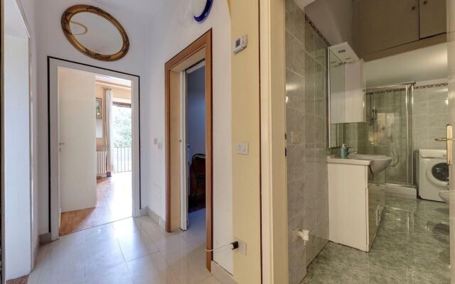 Magnoli 2 D in Firenze