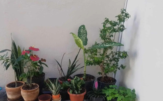 My Place Hospedaria