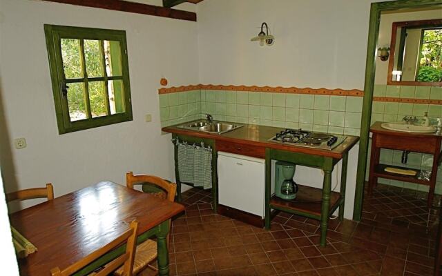 Apartments Cvita