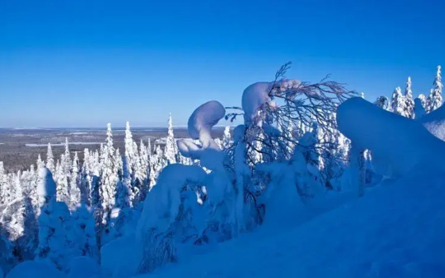 Star Cottages Ruka