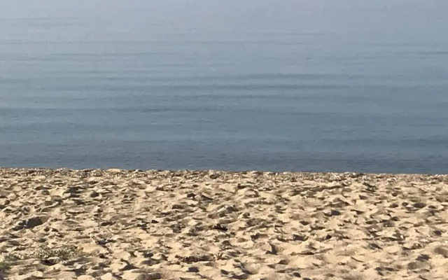 Nikolaidis Apartments