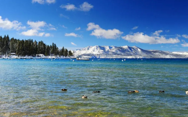 Brand New South Lake Tahoe Cabin by RedAwning