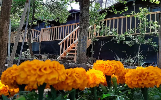 Altaris Bungalows Olympos