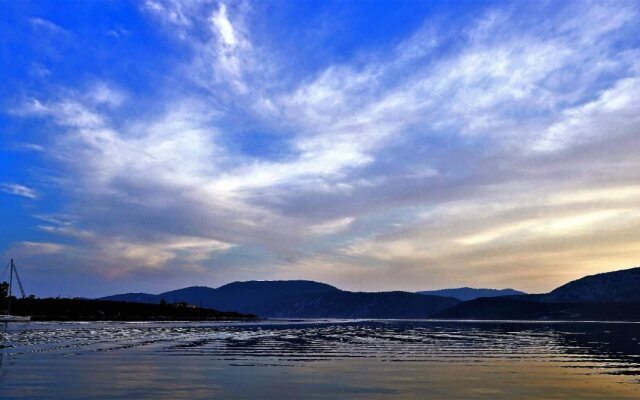 Lavender Cove
