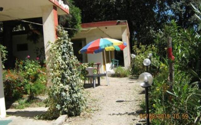 Janardan Homestay Nainital