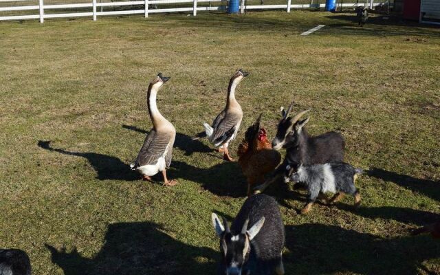 Country View PA Bed & Breakfast