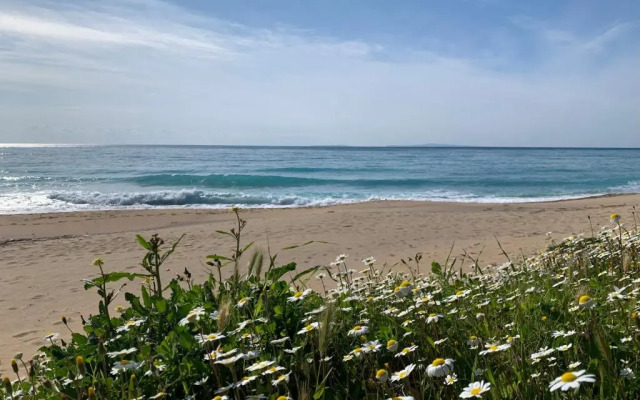 Elia Beach Apartments Vrachos