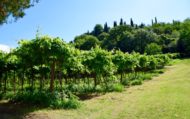 Villa Faccioli Deodara With Shared Pool