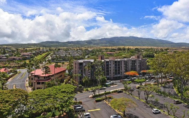 Royal Kahana 104