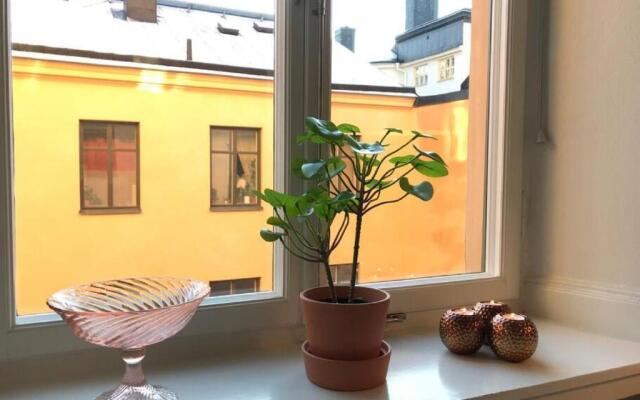 Bohemian and light one room apartment in SoFo 31sqm