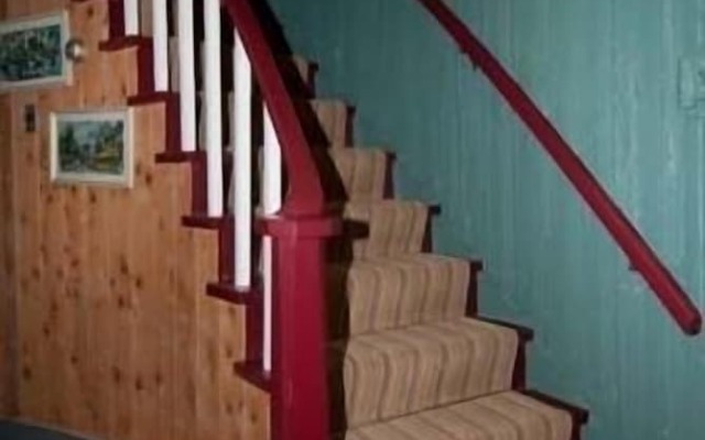 Windswept on the Trent