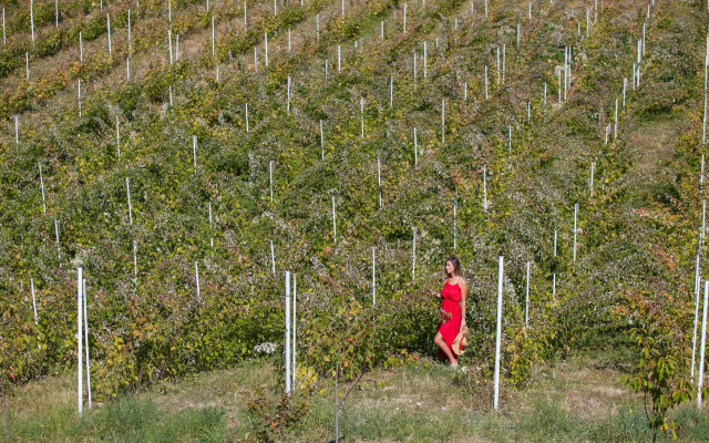 Курортный отель Hotel & Resort Gacka