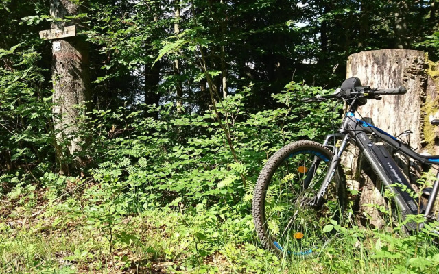 Pension Philippsreut "Zum Pfenniggeiger"