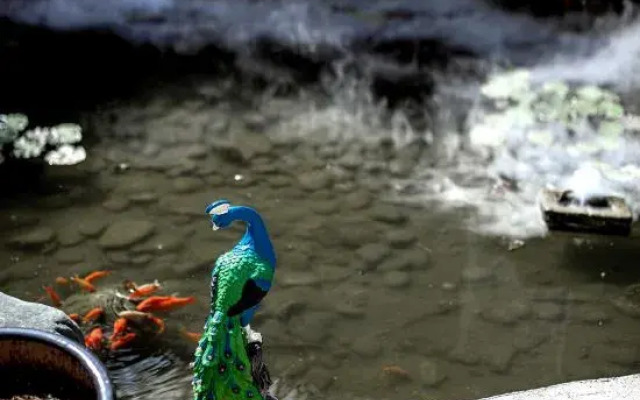 Dali Cangyulou Homestay (Bohai Branch)