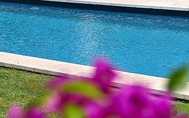 Le Jardin des Amandiers