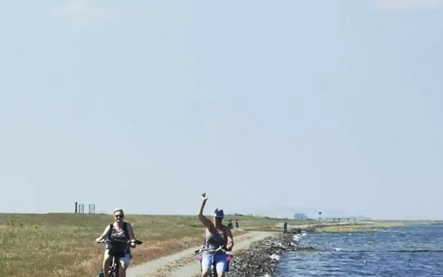 Dinkla 1 Comfortable Holiday Residence