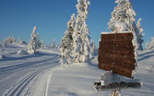 Ble Fjellstue Mountain Lodge