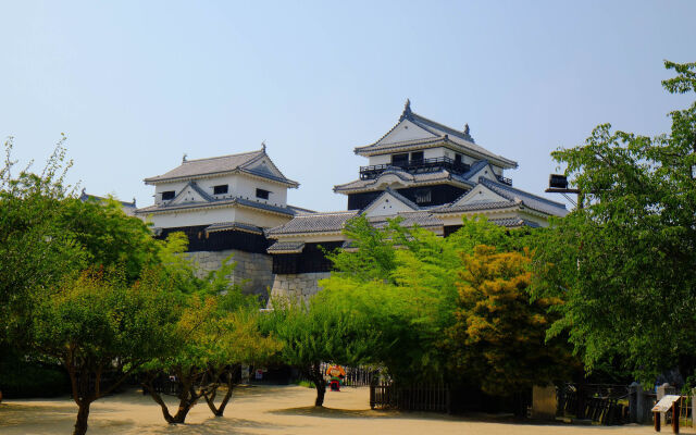 Tennen Onsen Matsuyama New Grand Hotel