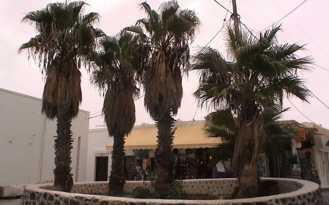 Hotel Asimina