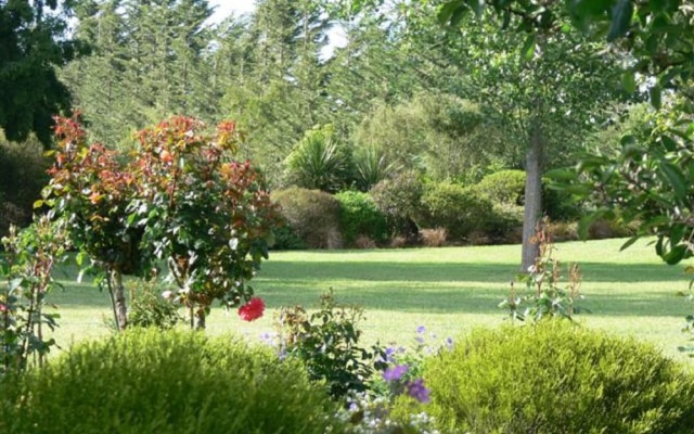 Garden View Bed & Breakfast