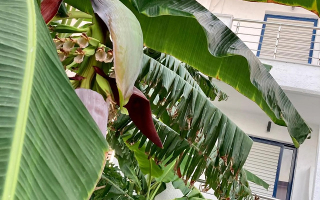 Sea Breeze 2 Apartments