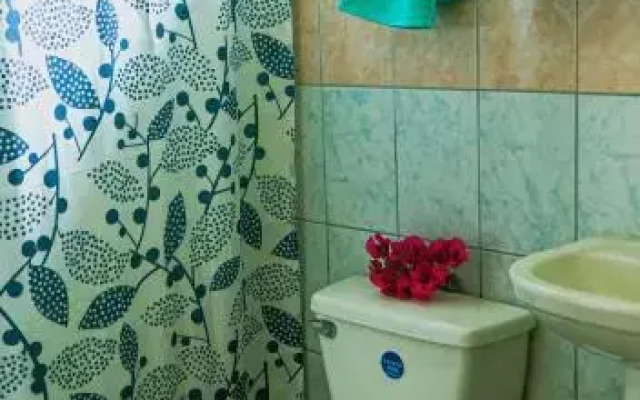Hostal y Cabañas Mangai