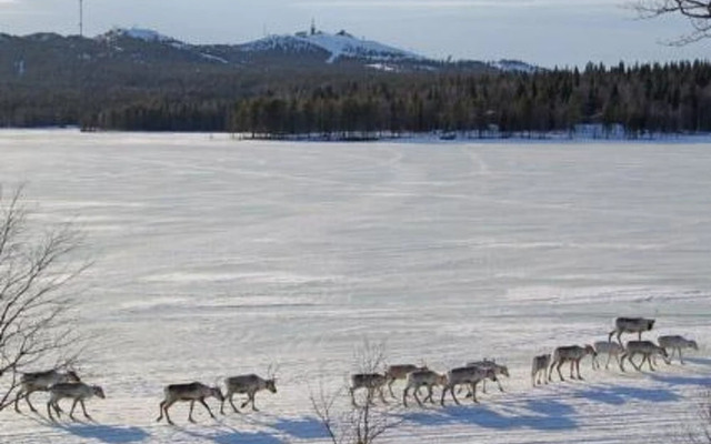 Holiday Home Rukaniemen kontio