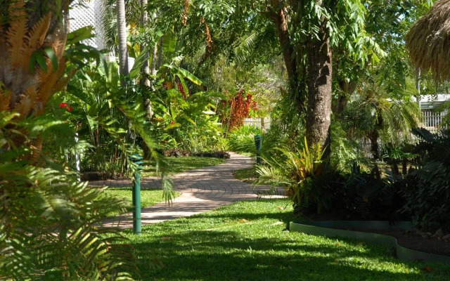 Tropical Oasis near Beach